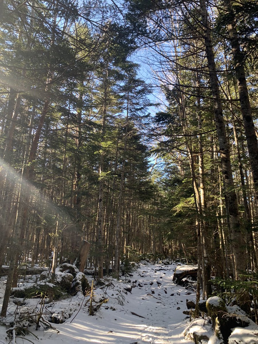 takamiishigoya's tweet photo. こんばんは。今年がどれだけ雪が少ないのか。去年の年末との比較です。1枚目が去年、2枚目が今年。驚きなのは去年はとても雪が少ない冬だったということ。今シーズンはどうなってしまうのか、不安ですが、2023年も残りあと一日。ご利用いただいた全ての皆様、ありがとうございました。 https://t.co/eQz1aZdUbG