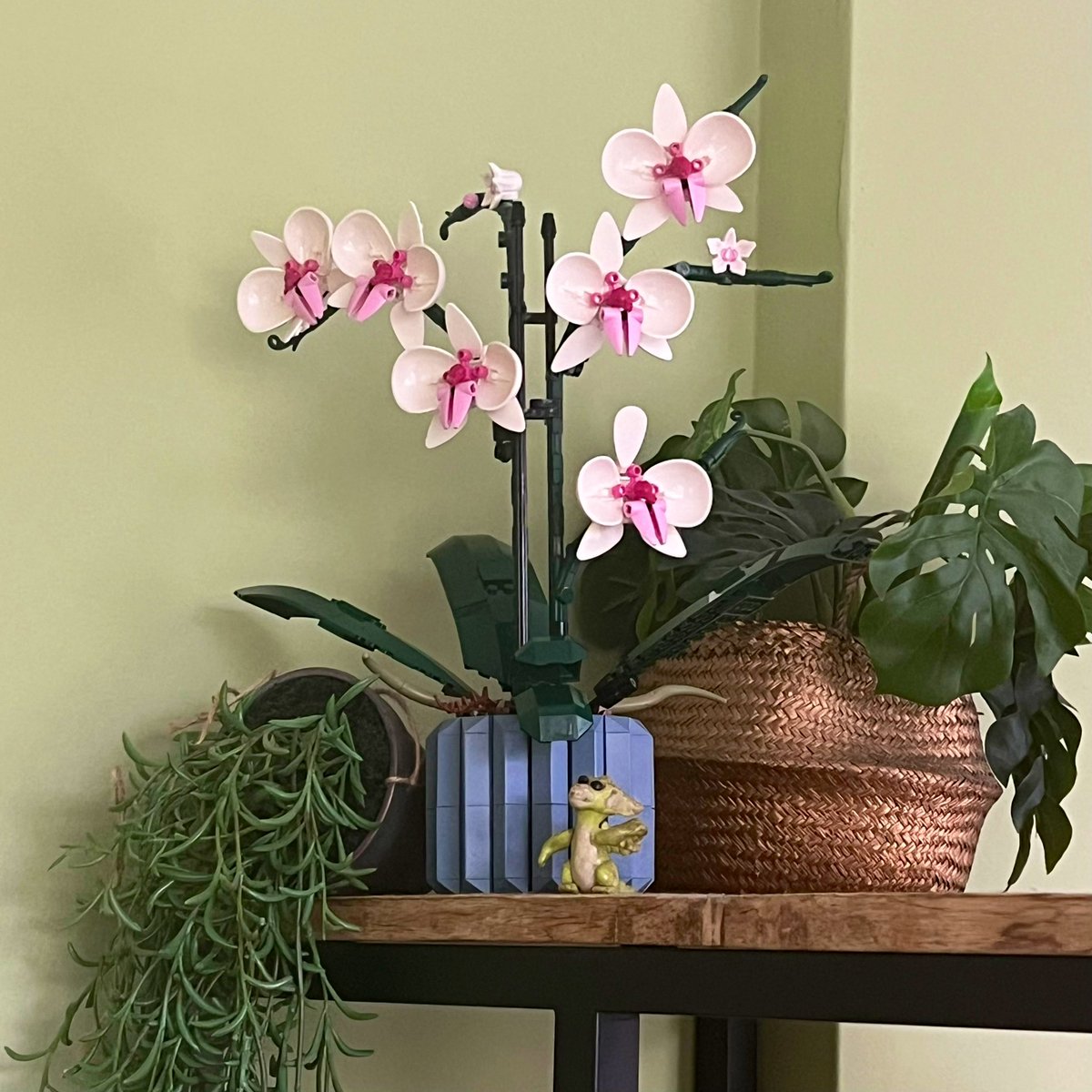 PostvanFenna's tweet photo. Nou net echt toch? Alleen dan niet want #Lego. De Orchidee 🌸 is af lieve mensen 😎. En nu 😅😇… #LegoNerd #AFOL https://t.co/kMOztie6yV