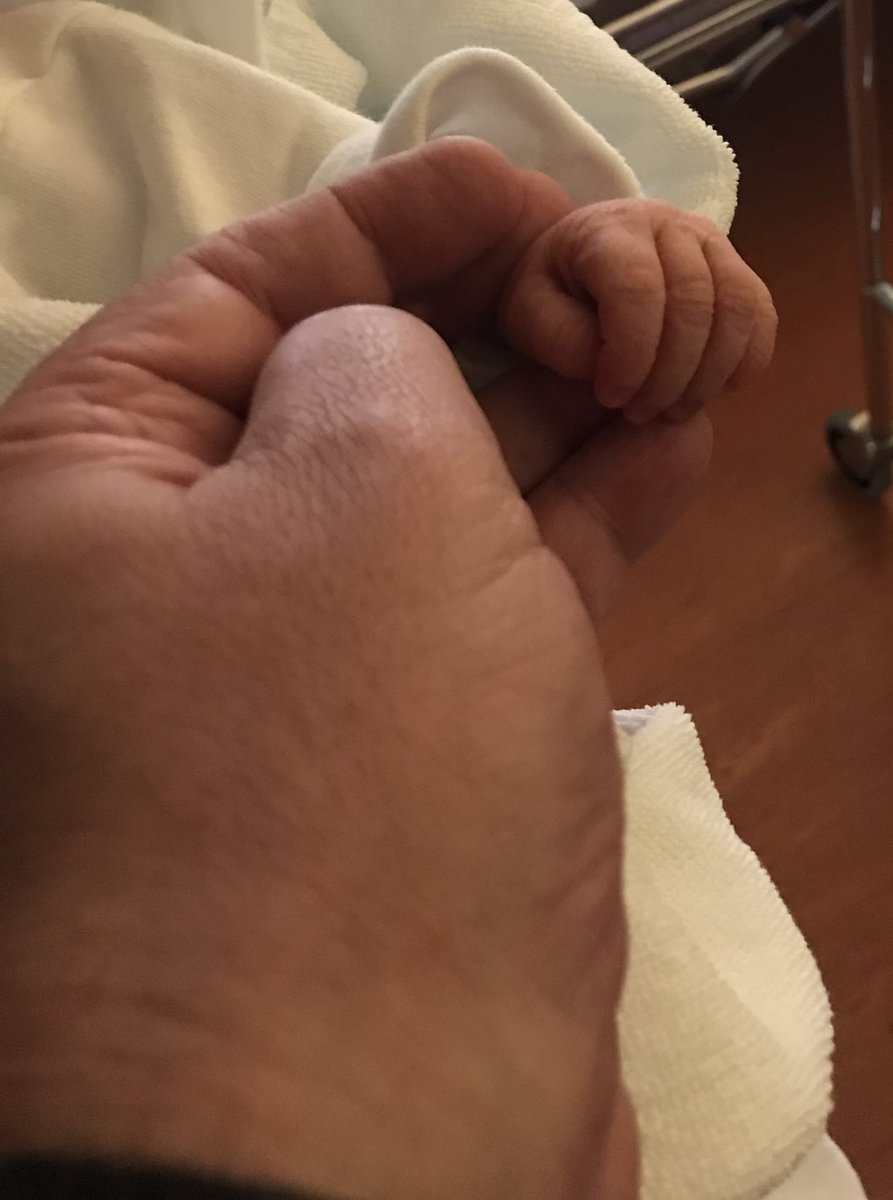 sixto genzor tweet media