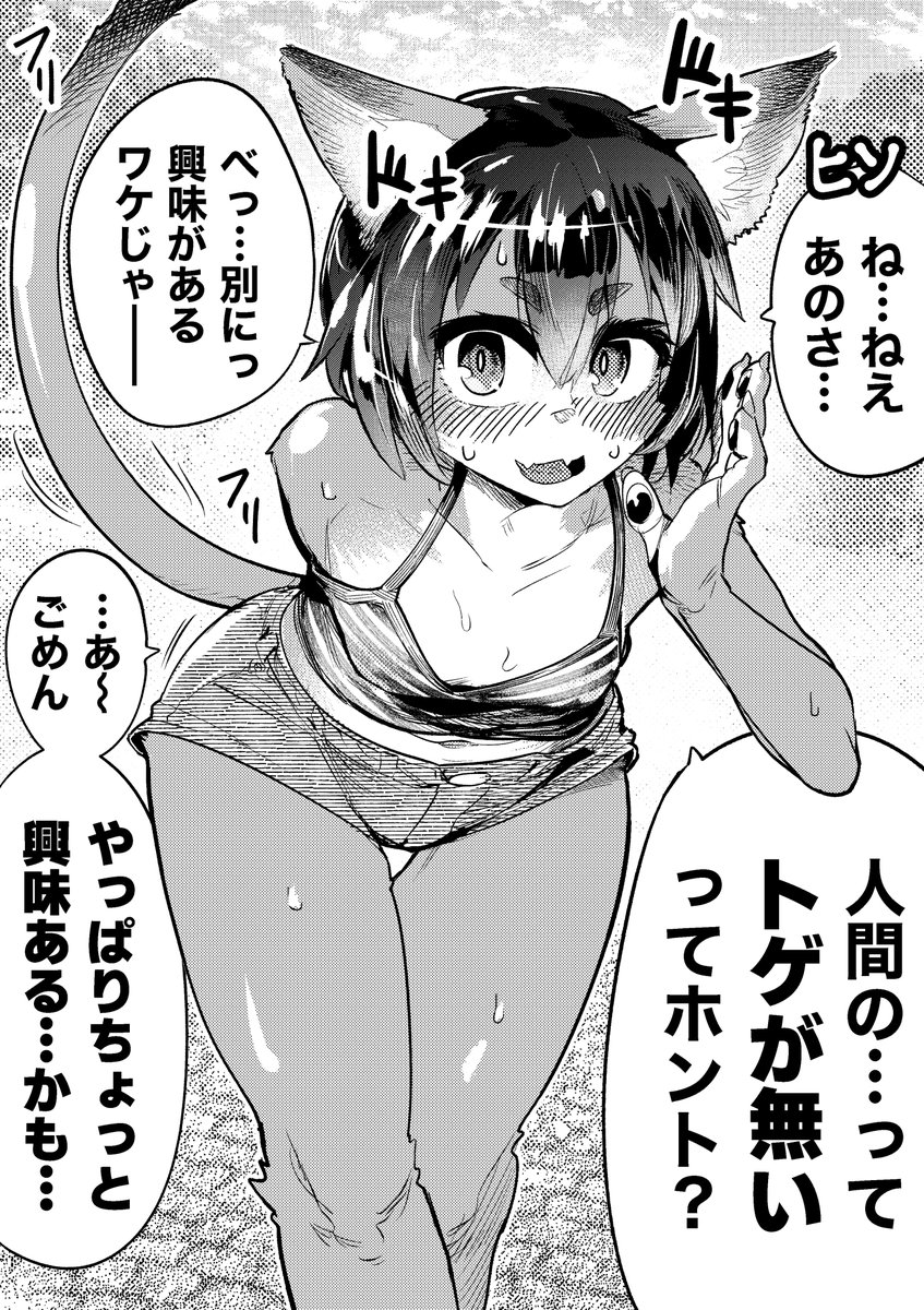 #今年も残りわずかなのでお気に入りの4枚を貼る  個人的にはこの辺りが気に入ってる。