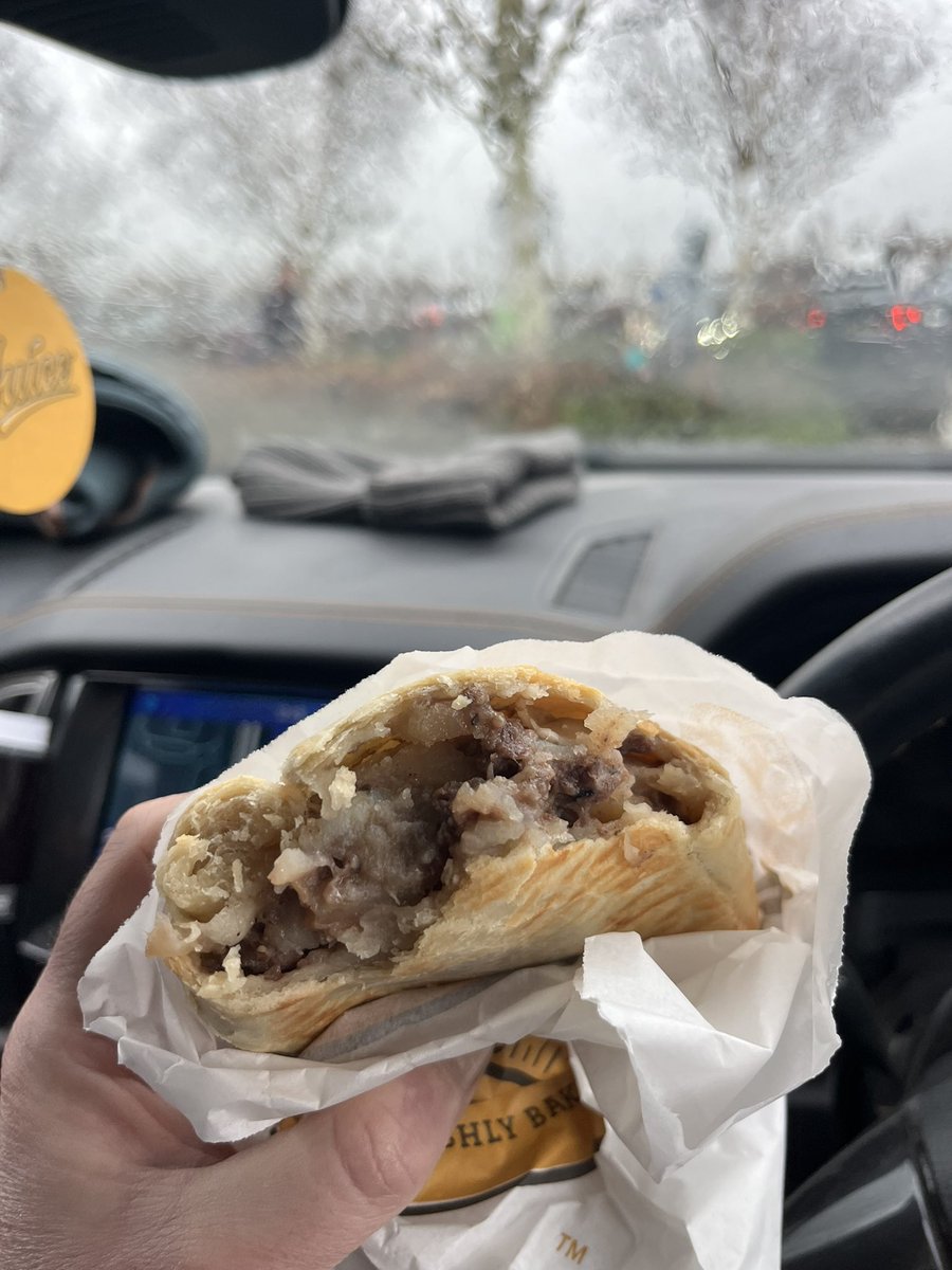 Dogs n Logs tweet media