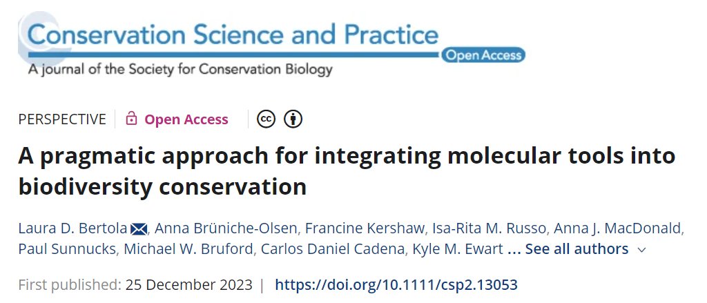 Just before the end of the year, we got another paper out! 🎉🎉🎉 It was a rather long process, capturing the thoughts and experiences from all coauthors, addressing how we can do a better job integrating molecular tools into biodiversity conservation: conbio.onlinelibrary.wiley.com/doi/10.1111/cs… 🧵