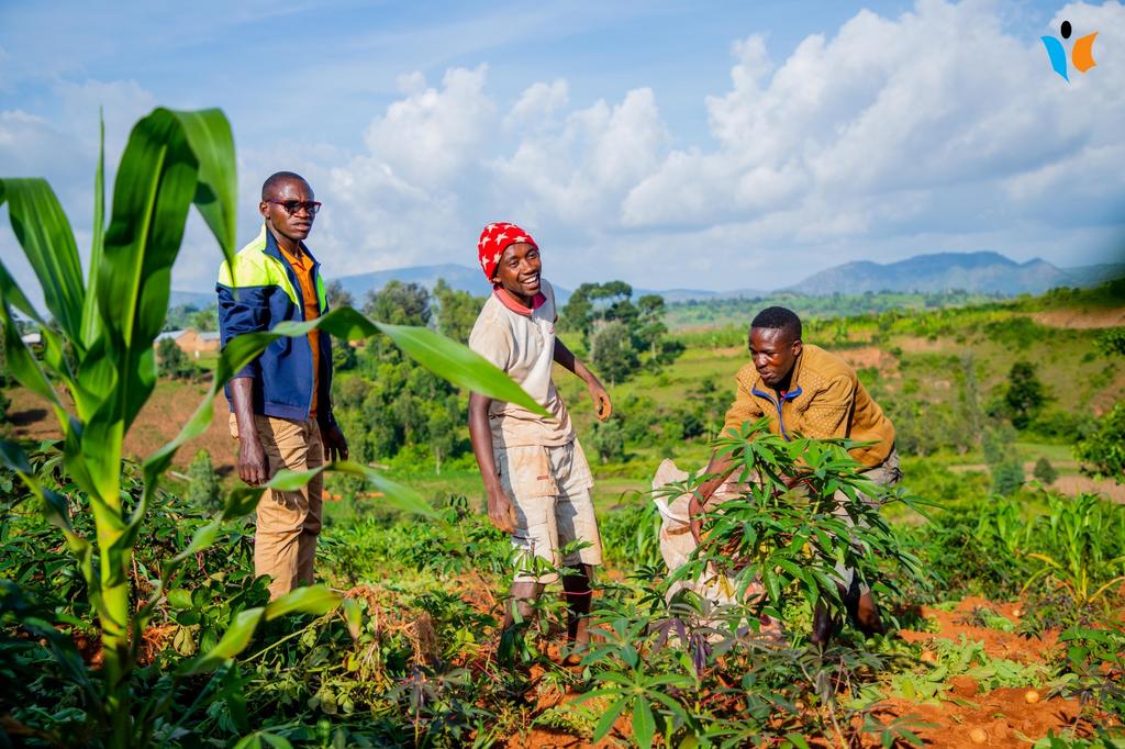 MagazineJimbere's tweet photo. đ„ En commune #Gitanga (@RutanaProvince), l'@UNICEF_Burundi & l'@Umunyinyaasbl revigorent l'autonomisation Ă©conomique des #jeunes & adolescents: en plus de l'appui financier et matĂ©riel, les membres des groupements de solidaritĂ© ont entre autres bĂ©nĂ©ficiĂ© de formations sur l'identification des dĂ©fis dans la communautĂ© et les solutions y relatives Ă travers l'innovation sociale & l'#entrepreneuriat (#Upshift), l'initiation au systĂšme d'Ă©pargne et de #crĂ©dit (#Vicoba)...
đ©đŸâđŠ± Ruth Irakoze (24 ans), prĂ©sidente de l'un de ces groupements sur la colline #Ngoma en commune Gitanga: "Depuis la mise en place de notre association en 2019 avec le soutien de l'#Unicef & #Umunyinya, nous nous sommes investis dans la culture des pommes de terre, du maĂŻs, l'Ă©levage de chĂšvres, moutons, porcs. Chaque membre a le droit de contracter un prĂȘt au sein de notre groupement pour rĂ©aliser son propre projet. Avec cet avantage, je me suis lancĂ©e dans le #mobilemoney (via Ecocash et Lumicash) et mon #business fleurit"
#Burundi #YouthEmpowerment