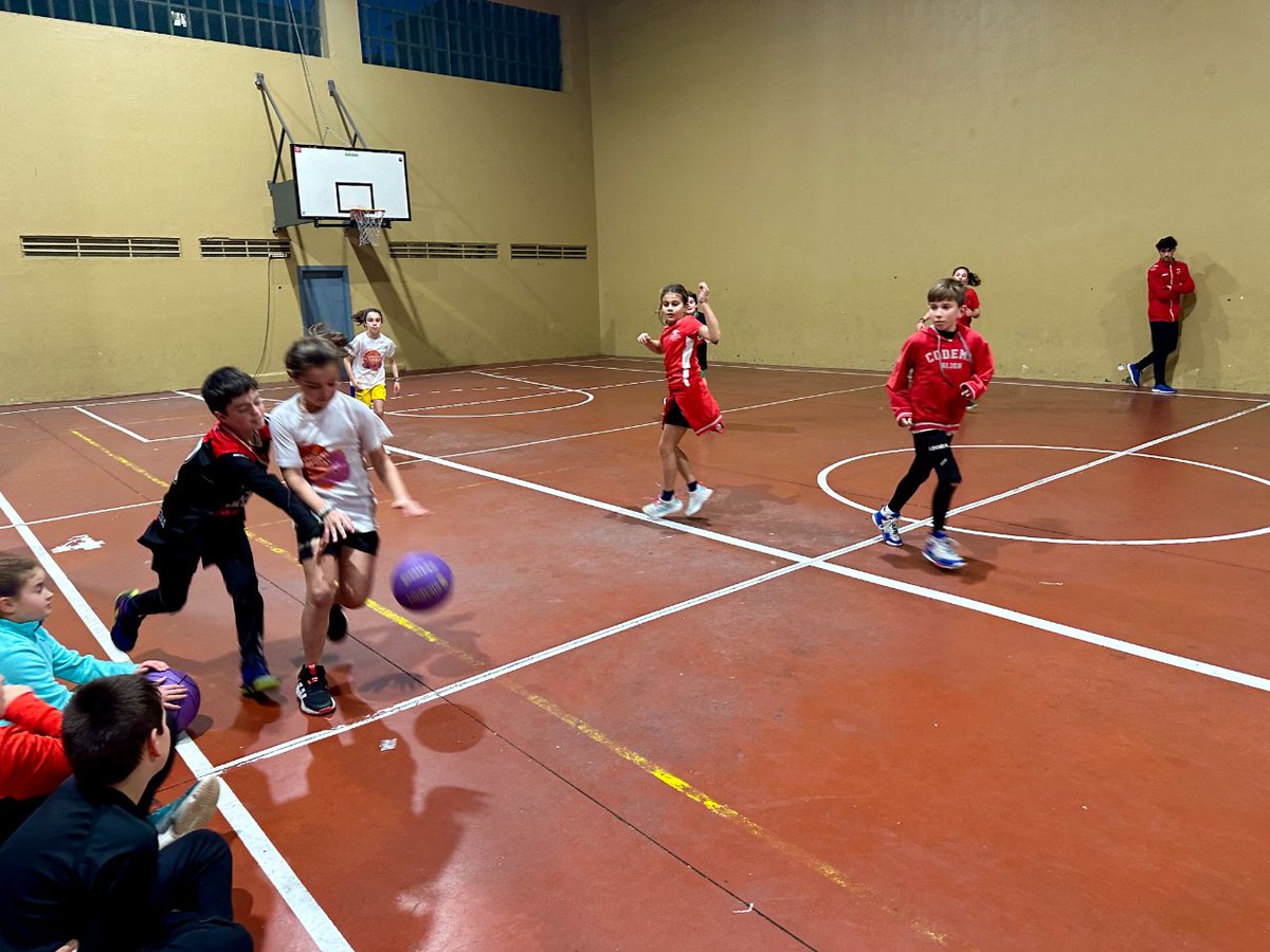 CodemaBaloncesto tweet media