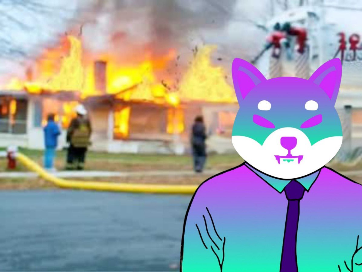 Don’t be surprised when $SSHIB Lifts off. #SSHIB is just getting started 🚀