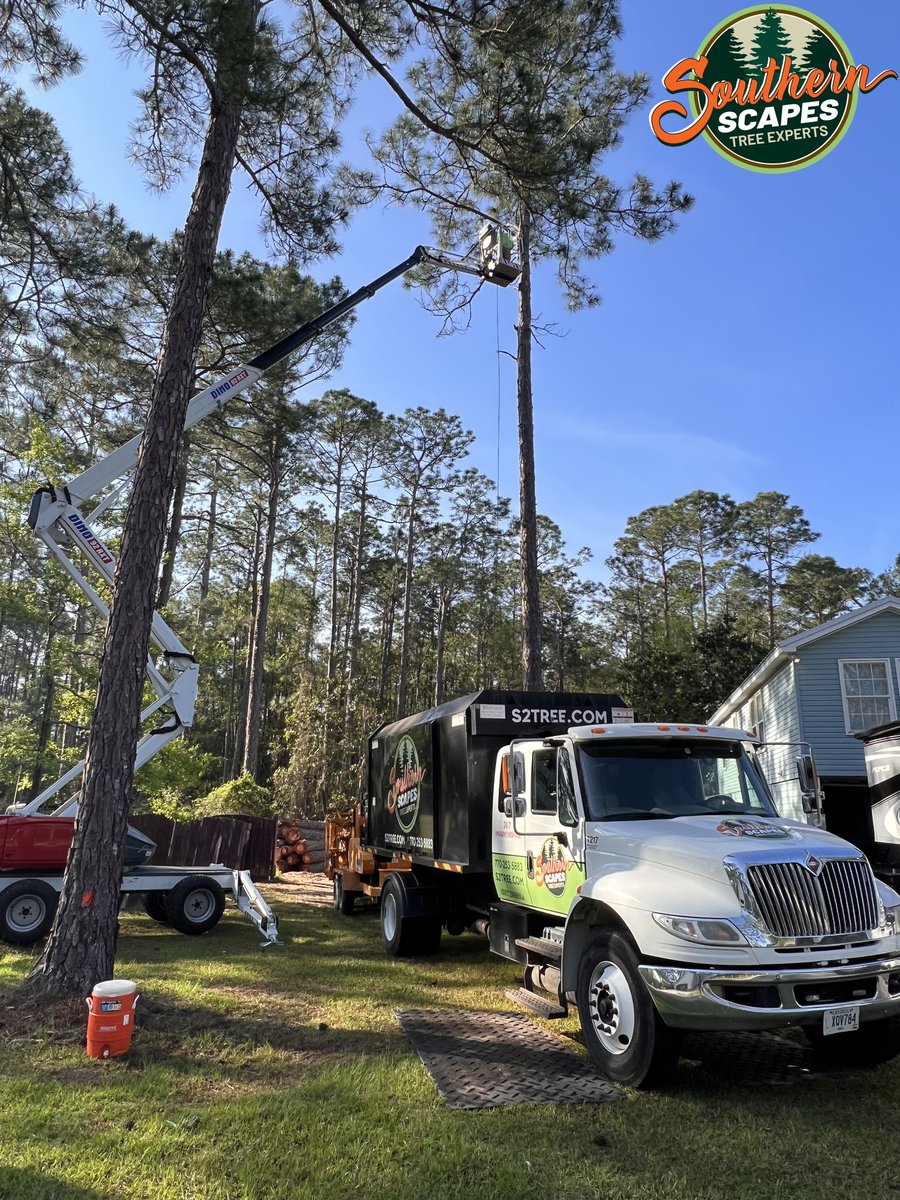 ScapesTree's tweet image. 🌿🌳 Browse through our tree trimming success! ✂️💚 #TreeTrimmingGallery #BeautifulLandscapes #SouthernScapesTreeExperts s2tree.com/gallery/