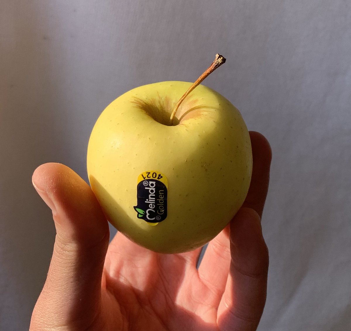 NassarSuhail's tweet photo. We totally forgot how it tastes, it’s been 84 days without any fruits except oranges, and today I found this treasure. Alhamdulellah. https://t.co/FWTxXRXpbG