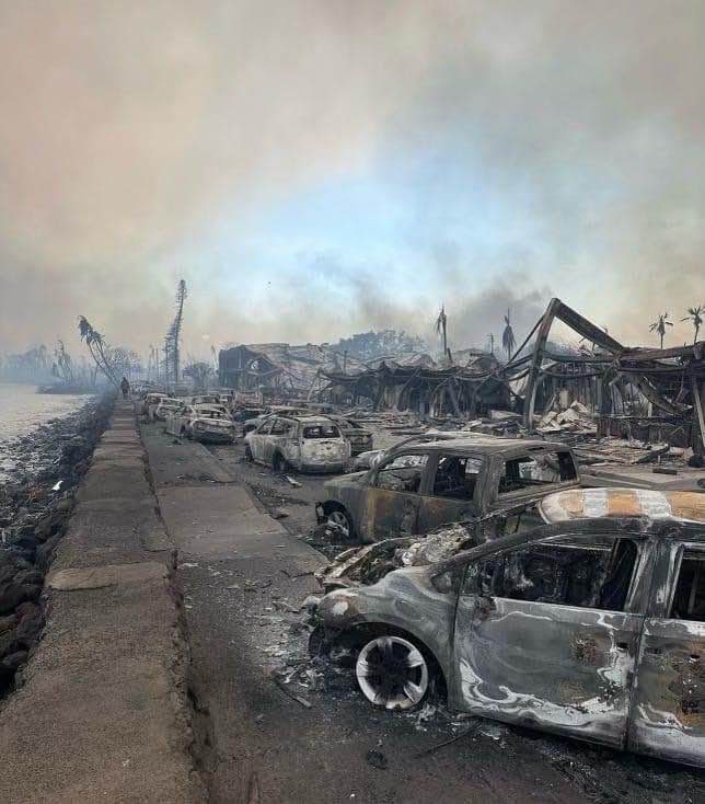 MarGomezH's tweet photo. Este 2023 ha sido un año de grandes eventos naturales. Al menos 12.000 personas, un 30 % más que en 2022,perdieron la vida debido a inundaciones, incendios forestales,ciclones, tormentas y deslizamientos de tierra en todo el mundo en 2023.
Hoy hago un repaso de algunos de ellos https://t.co/2bqvIyyQqr