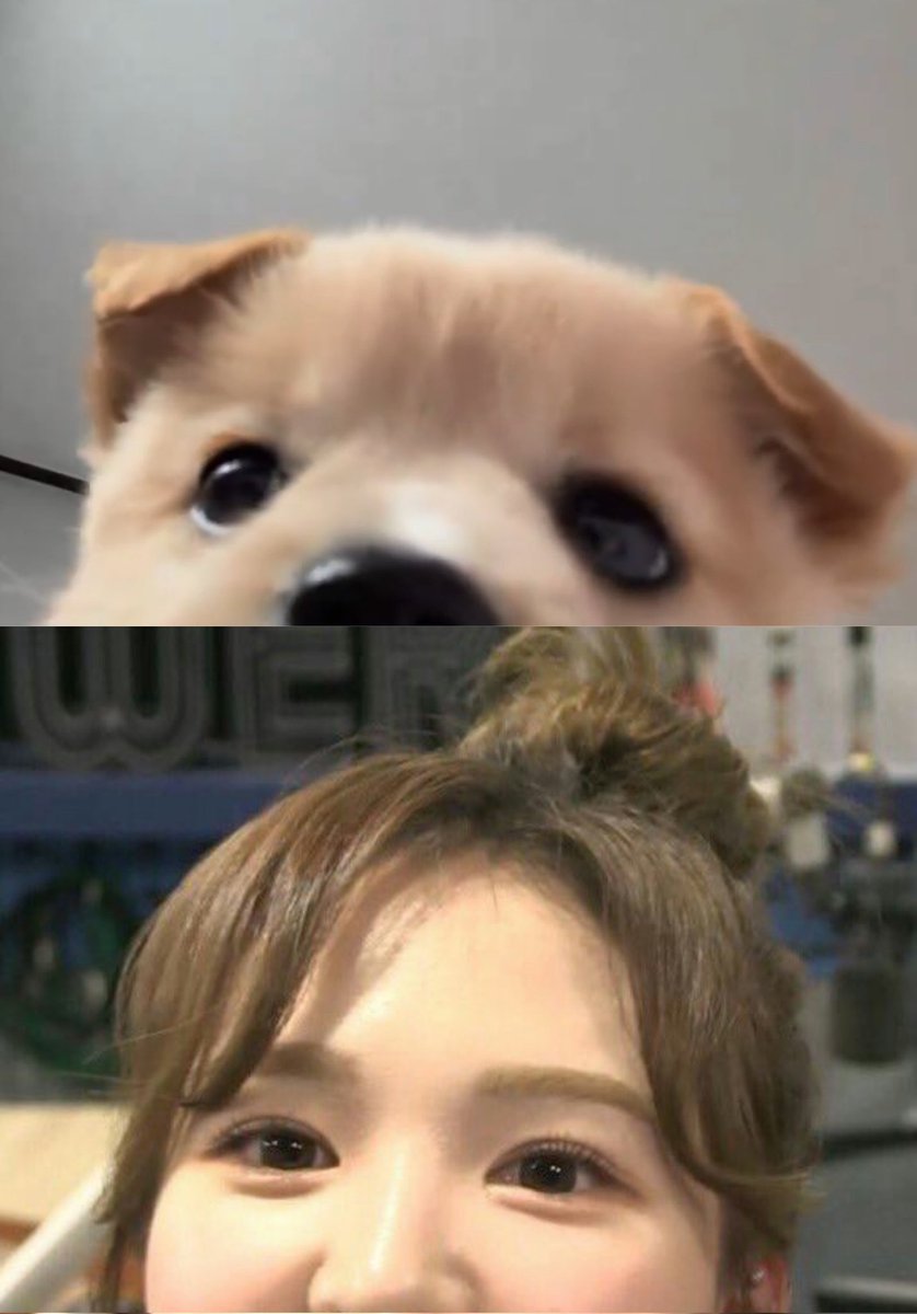 ▼⁠・⁠ᴥ⁠・⁠▼