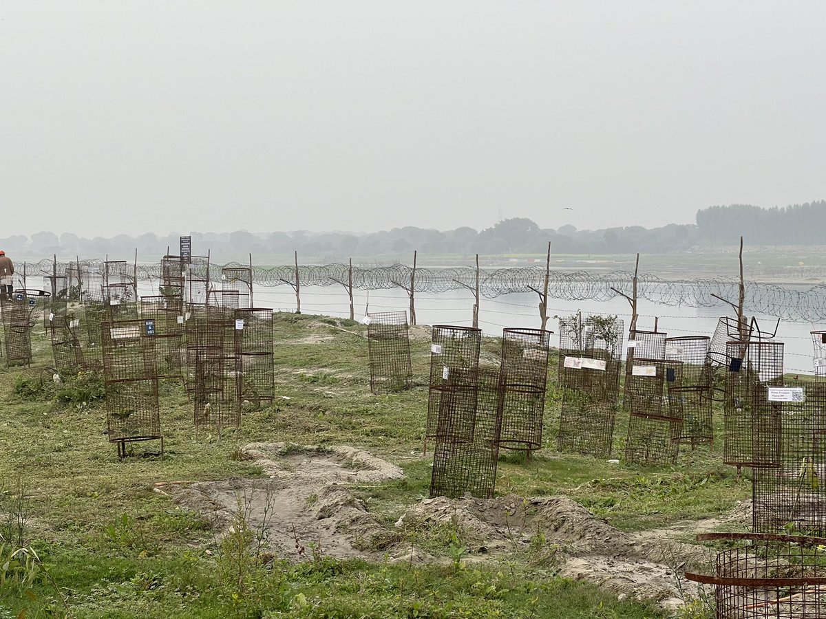#Dayalbagh protecting and rejuvenating the #Yamuna banks. Our #river ecosystems are in an extremely fragile state. We need to do our utmost to protect these from short term vested interests, or else one day these rivers too will do a #Saraswati on us.