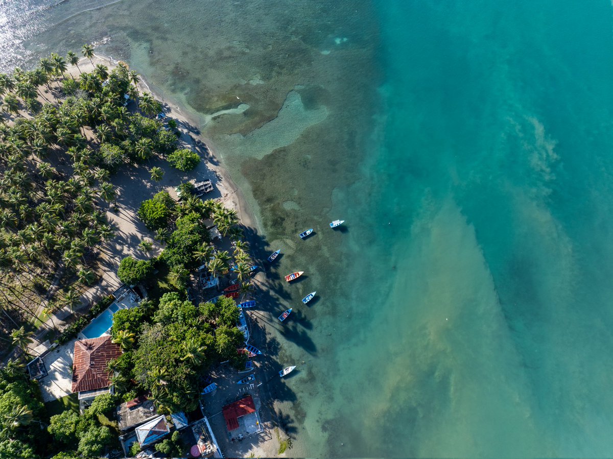 warchiefx's tweet photo. Una mañana en Playa Palenque.
#palenque #DominicanRepublic #republicadominicana #beach #sea #rdporloalto #dji #djiglobal #djiphotography #djimavic3 #WCX042 #techdronerd https://t.co/qweflMVUWA