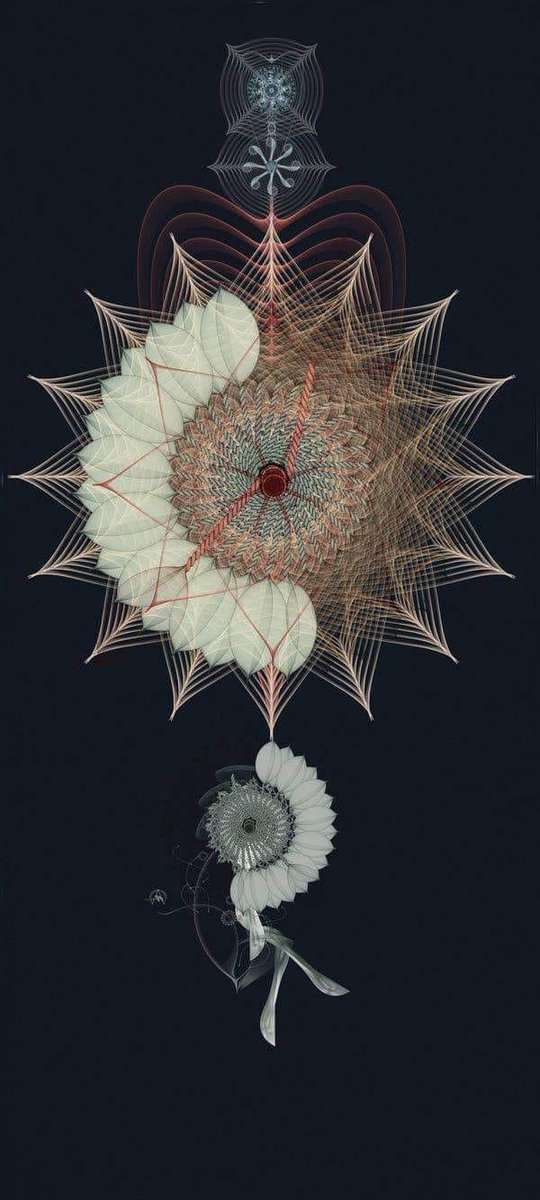 EdmondHWollmann's tweet image. “There is #geometry in the humming of the strings, there is music in the spacing of the spheres.”
- #Pythagoras.
Sacred Geometry
Cristian Boian