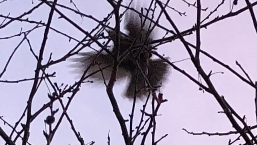 #depravity’s like gravity—
it doesn’t #block our flight—
but makes us 
keep our wings
flapping to alight,
makes us adjust 
our sails to stay aright,
keep our eyes open 
so horizon stays in sight
as we navigate our way 
through gray &amp; fray of life. 

#vsspoem
#vss365
#poem
#poetry