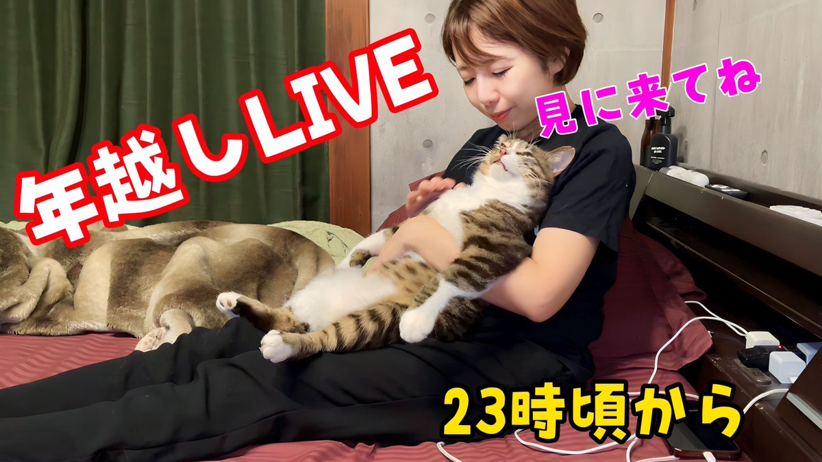 あにまるず (@animals323) / Posts / X