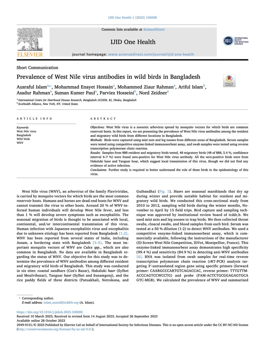 Ariful  Islam tweet media