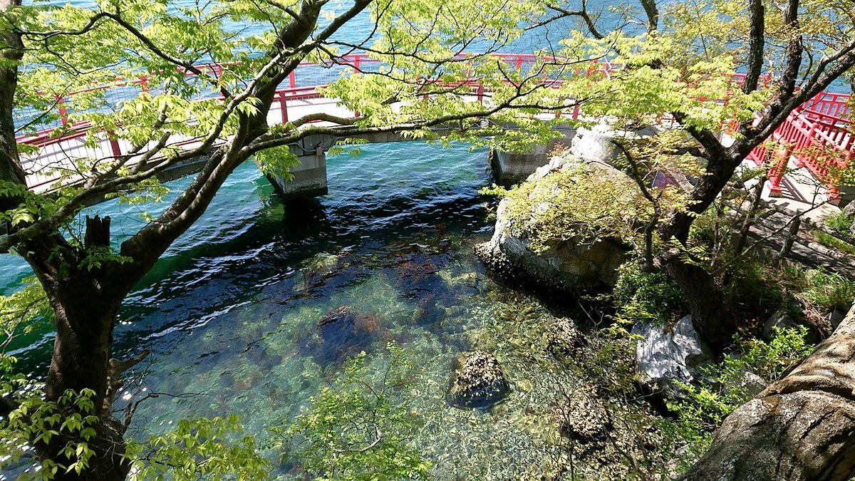 ori_fix's tweet photo. #今年も残りわずかなのでお気に入りの4枚を貼る 
浄土ヶ浜、気仙沼、立待岬、諏訪湖。
旅中の景色だとこのあたり。どれも素晴らしい景観でした。 https://t.co/NgzgiJ4EpZ