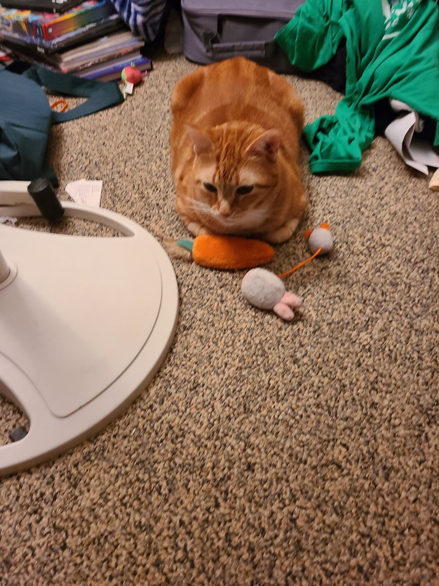 Anthony DeMinico tweet media