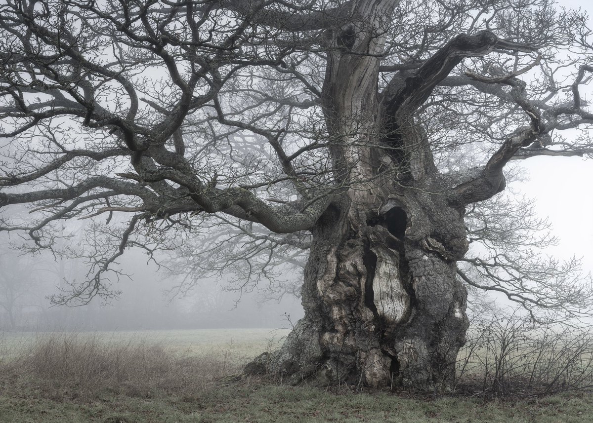 Will Blakey Milner tweet media