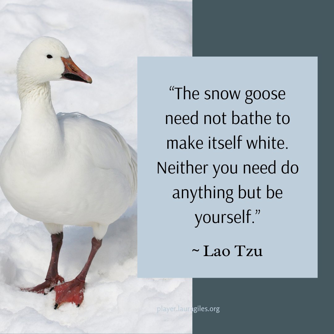 LauraGiles804's tweet photo. You're amazing. Just be yourself. #knowyourself #beyourself #shareyourself #authenticity #mindfulness #consciousliving https://t.co/pWtHi5z4Br