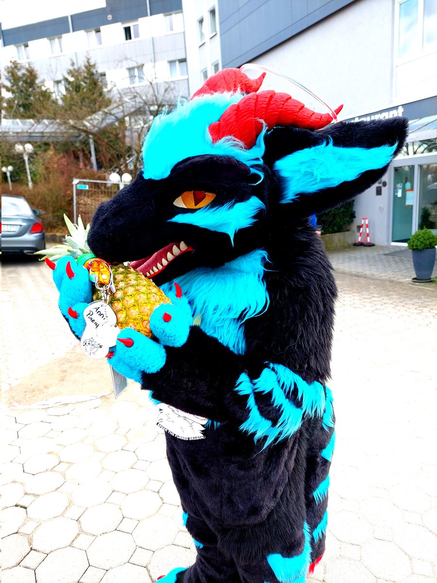 Help! I am attaced by a <a href="/Speerdragon1/">Speer the furred Dragon</a> !!!!