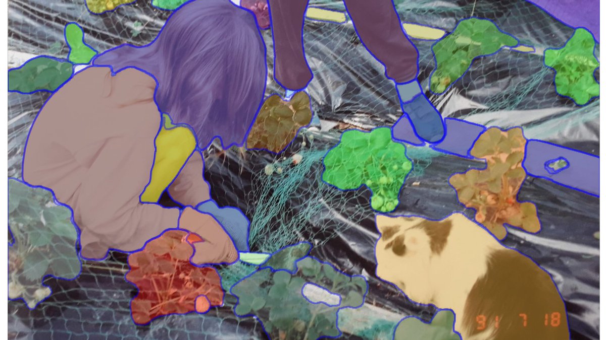 riiajarvenpaa's tweet image. Nyt kuvista voi eristää eri ulottuvuuksia _melkein_ parilla rivilla koodia. 1. kuvassa minä vuonna -91 mansikkaamaalla, pelastan räkättirastasta, mun kissa, ja taustalla äiti Karhun tossuissa.
Seuraavissa kuvissa sama segmentoituna.
#stablediffusion #imagesegmentation #python