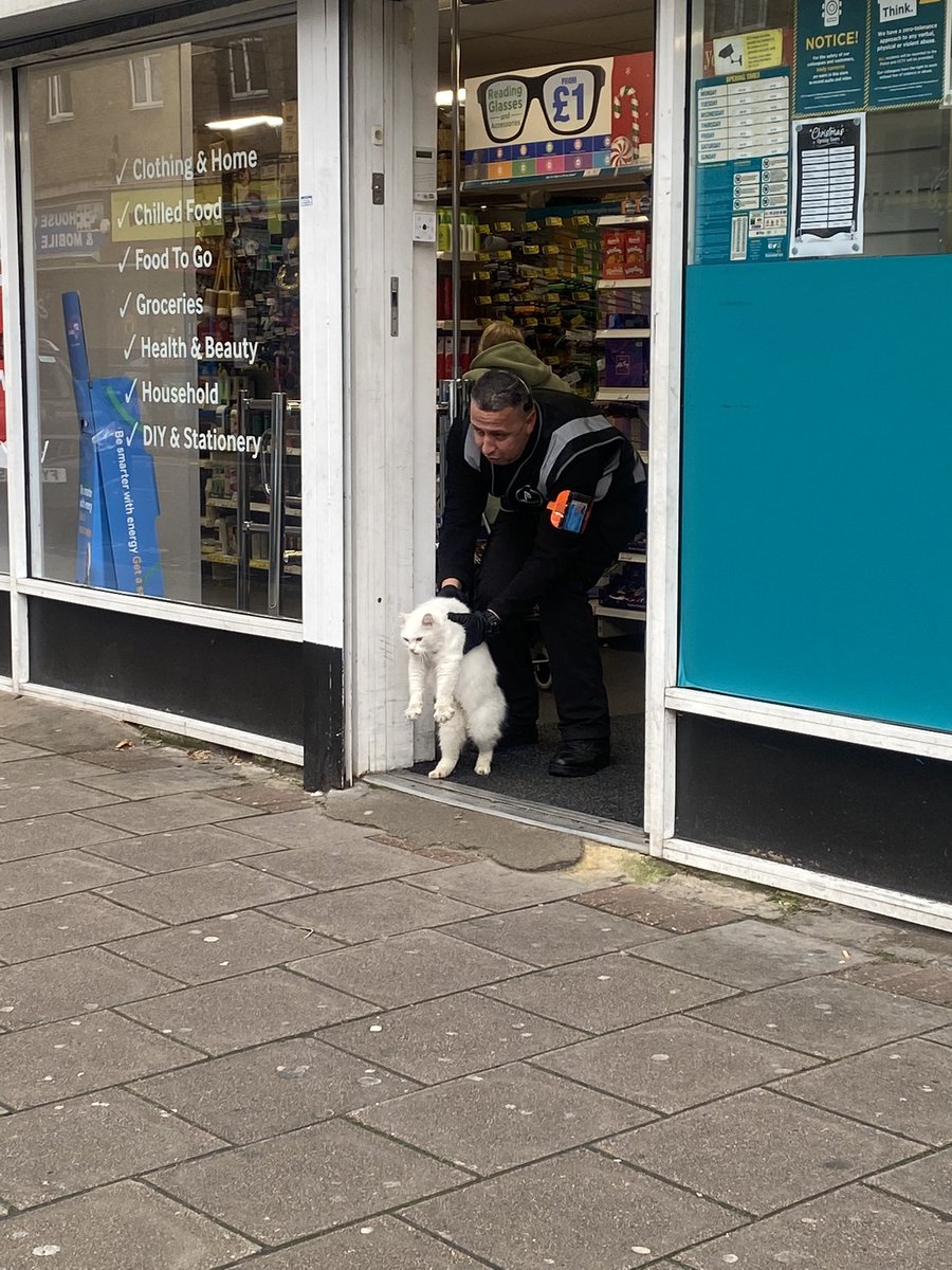Bleak scenes to end 2023 - watching this cat get barred from poundland