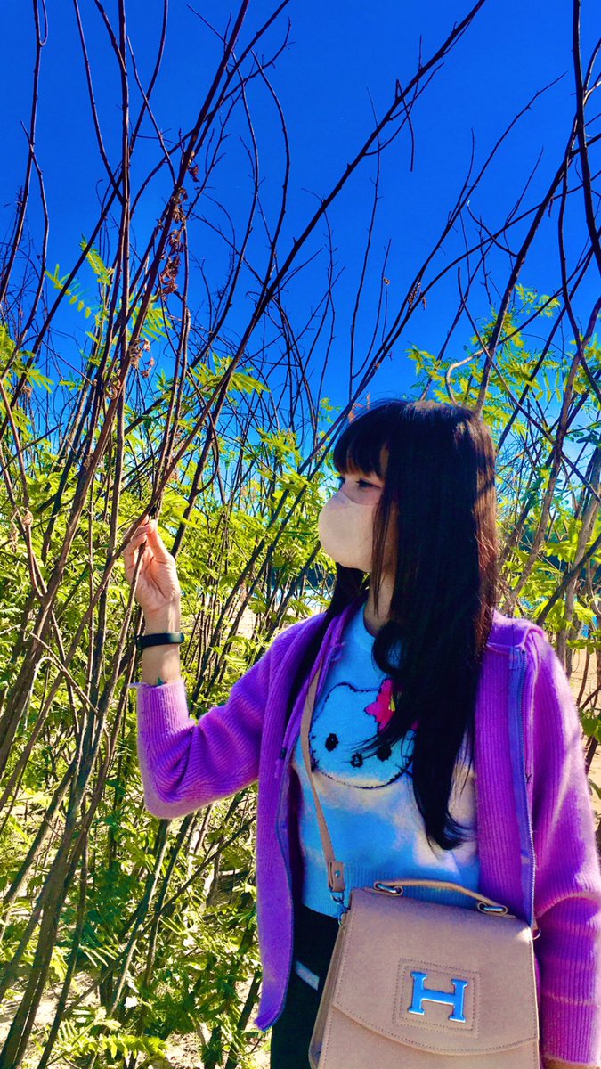 mudmyd_pmw's tweet photo. อย่าพึ่งบอกว่า อุบล ไม่มีรักแท้ ถ้ายังไม่เจอผม🫂🤍🌻 #สาววาริน #อุบล_ราชธานี https://t.co/p3VXEpep65