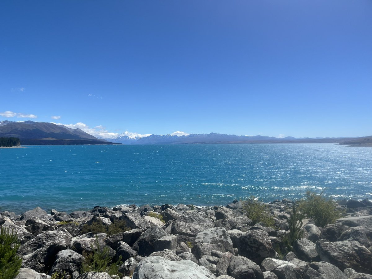 Jess Archer tweet media