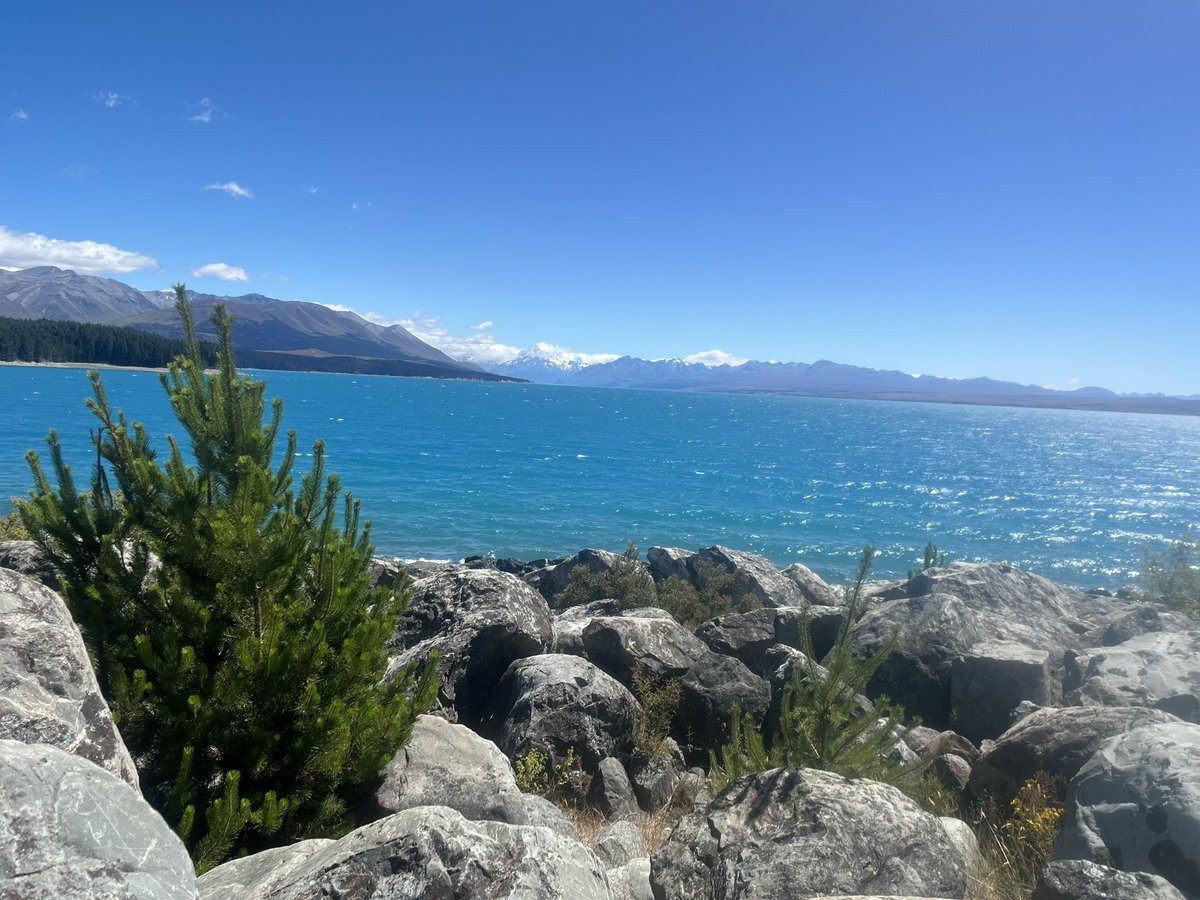 Jess Archer tweet media