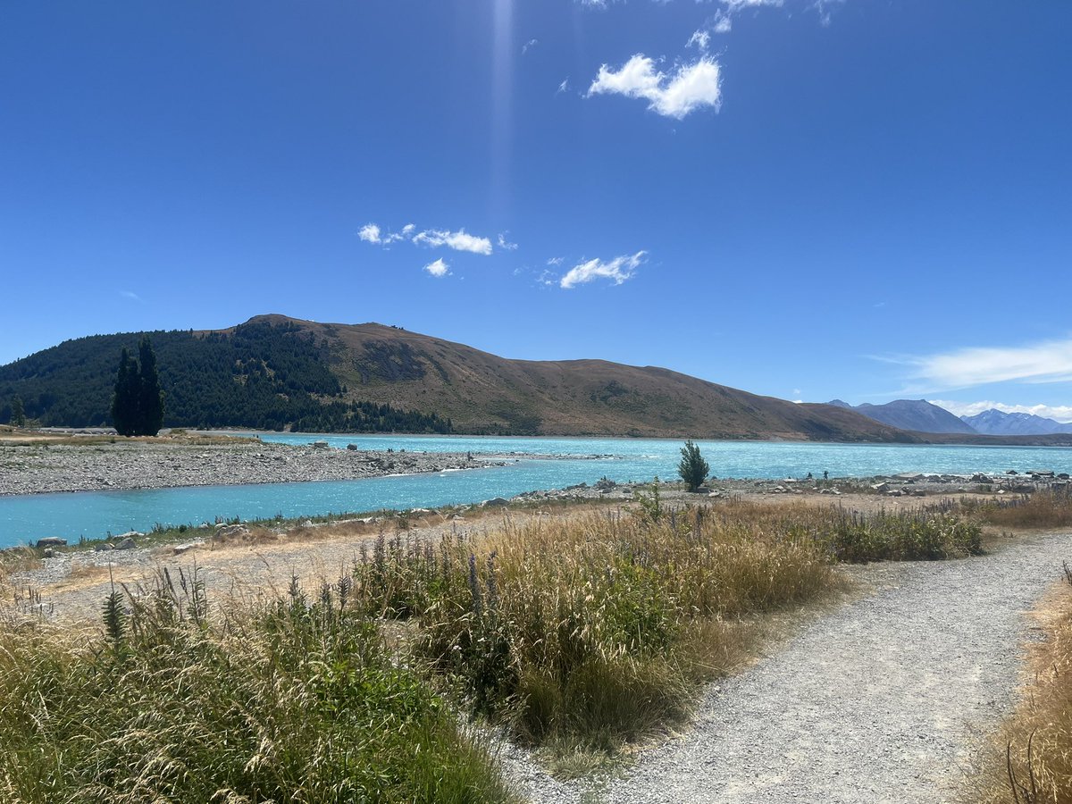 Jess Archer tweet media