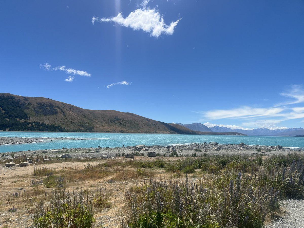 Jess Archer tweet media