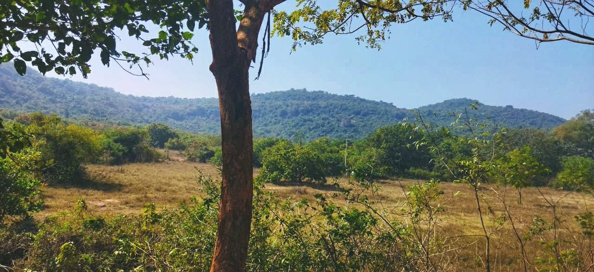 Nature at its finest✨...Soul soothing