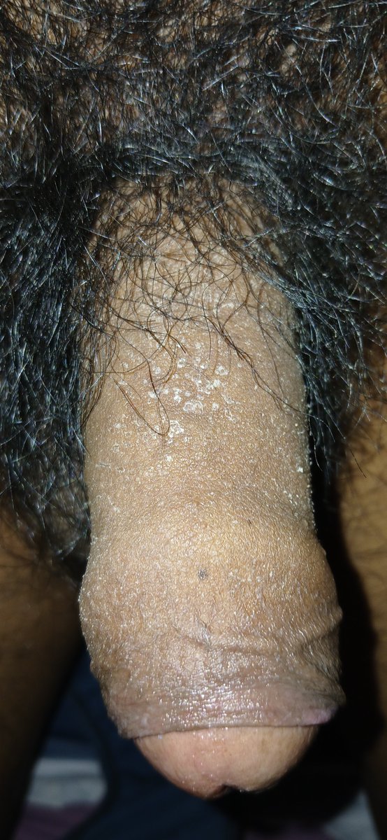 miguelms tweet media