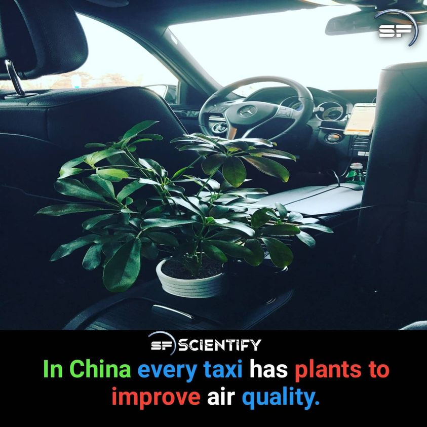 ScientifyFacts's tweet photo. #facts #China https://t.co/oJLz17Elic