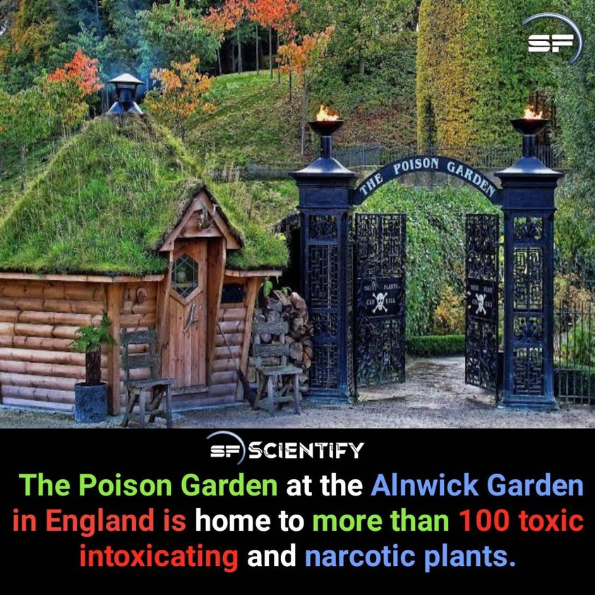 ScientifyFacts's tweet photo. #facts #England https://t.co/dzHzzmpD5v