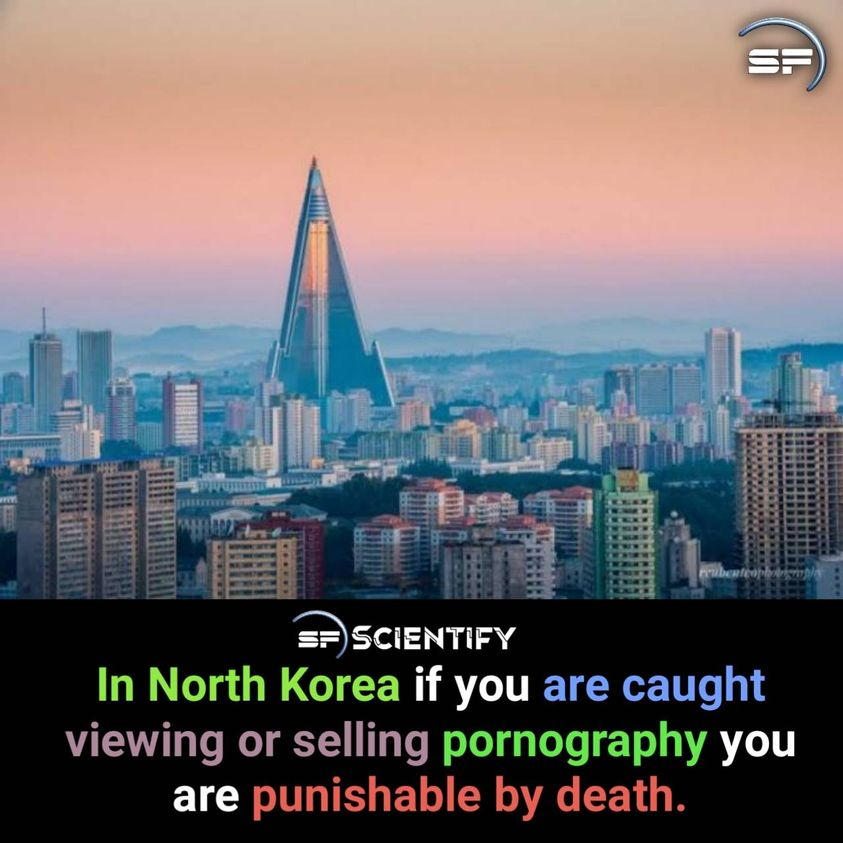 ScientifyFacts's tweet photo. #Facts https://t.co/l0Ma7z3IvQ
