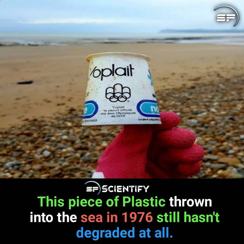 ScientifyFacts's tweet photo. #Facts https://t.co/BgVCGf6cYQ