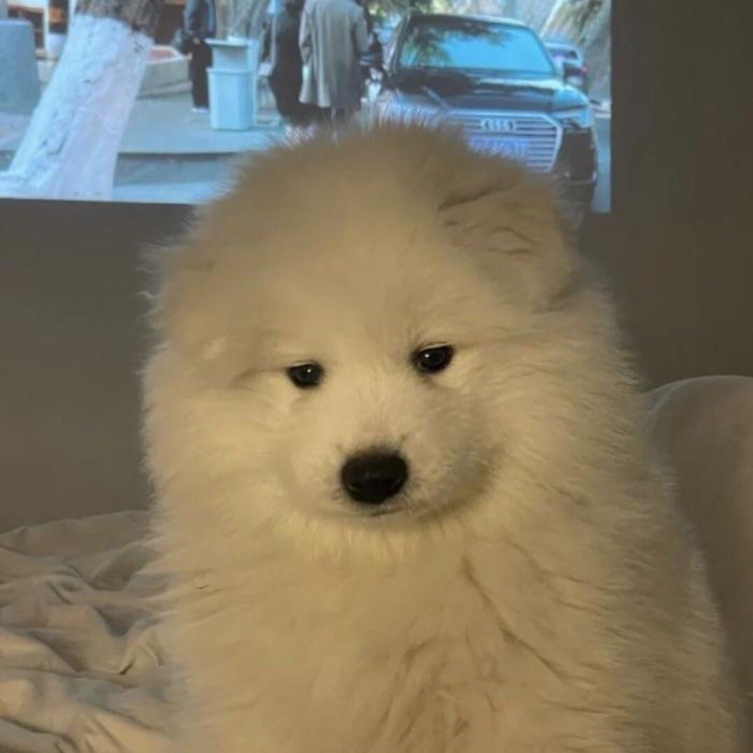 ไม่มีเพื่อนไม่มีคนเล่นด้วยหงอย