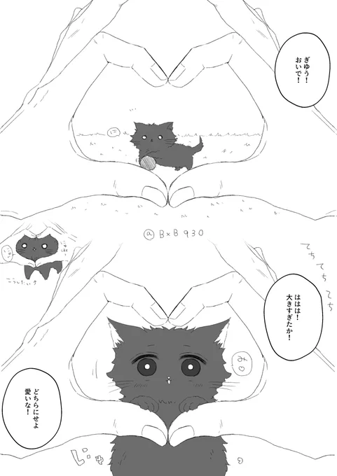 こねこ🌊と🔥さん
はやくおおきくなりたいにゃん 