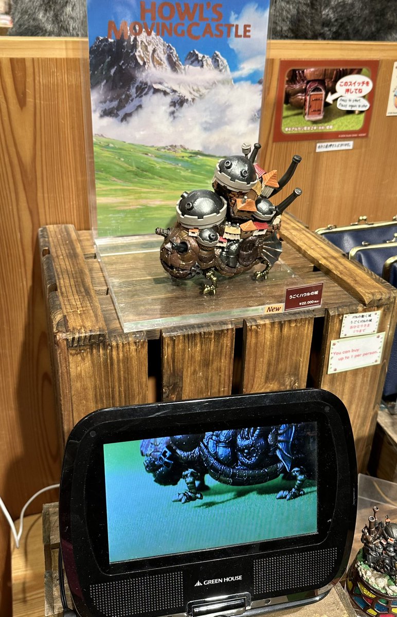 Kelly Knox tweet media