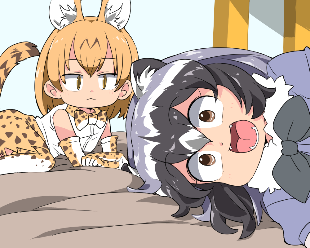アライグマ(けものフレンズ) ,サーバル(けものフレンズ) 「#今年も残りわずかなのでお気に入りの4枚を貼る 今年もアライさんとアライグマが可」|海風しゅう@アライグマグッズ制作中のイラスト