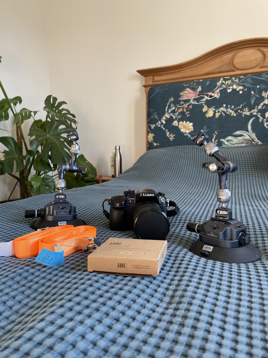 Alan. 🧔🏼 tweet media