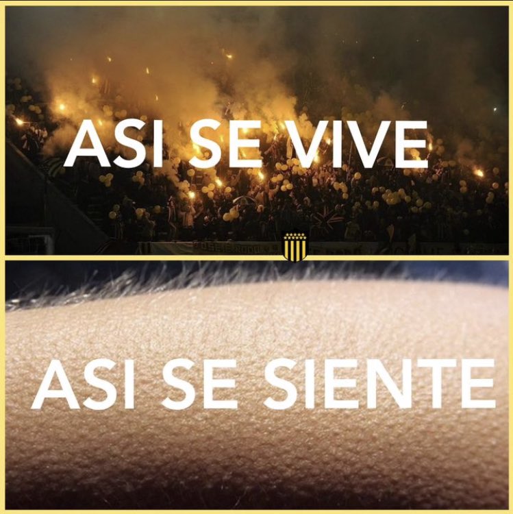 PORQUE ESTOS COLORES LOS LLEVO EN LA PIEL🌗