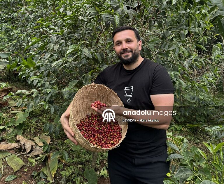 “Türkiye’yi çok güzel kahveler bekliyor”
Kahve Uzmanı Yunus Çakmak, AA muhabirine yaptığı açıklamada, “kahvenin ana vatanı” Etiyopya’nın Yergaceffee kentinde 2 bin 300 metre yükseklikteki kahve tarlalarında bulunduklarını söyledi. 
yunuscakmak.com/anadolu-ajansi…