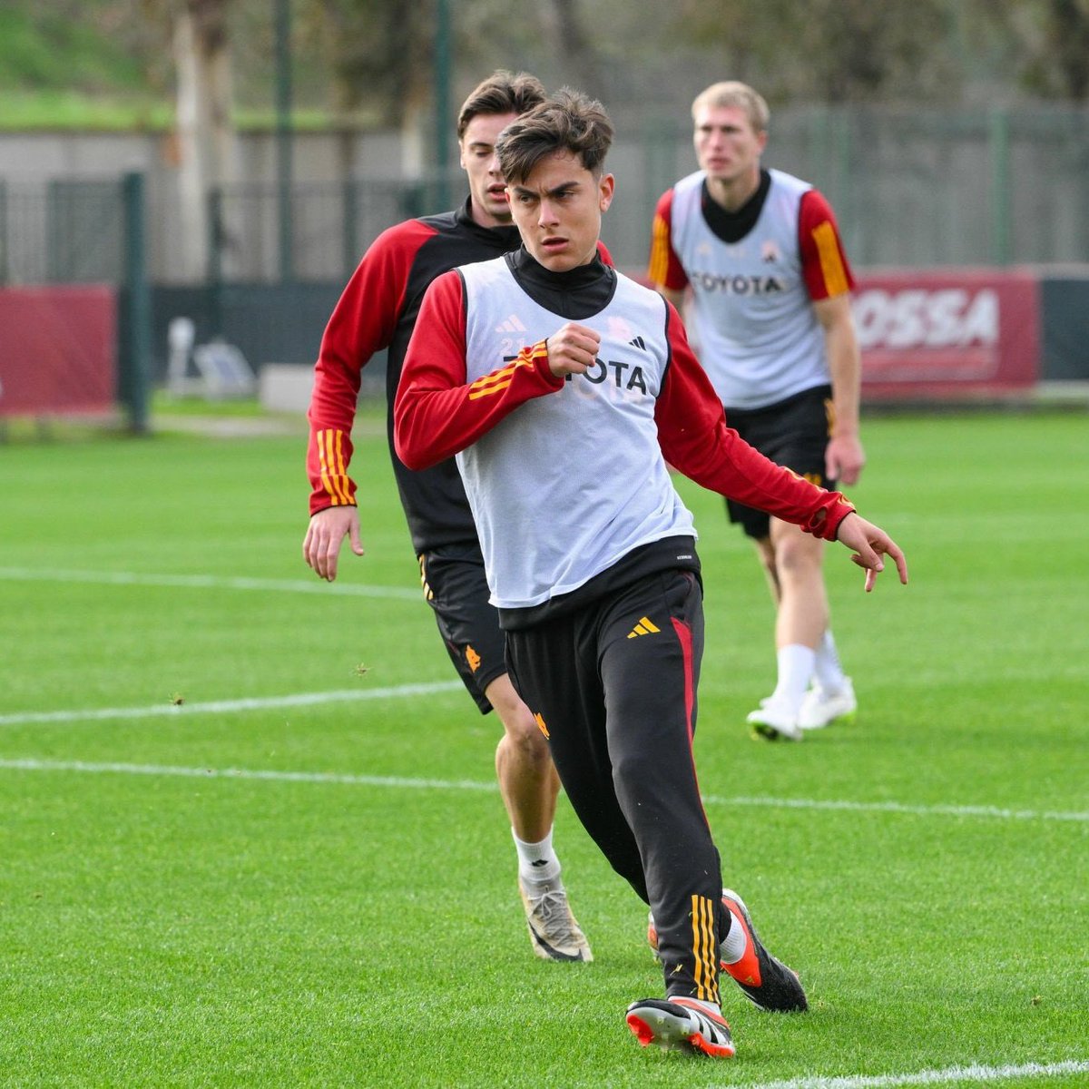 TREINO <----> TREINO <---->   TREINO