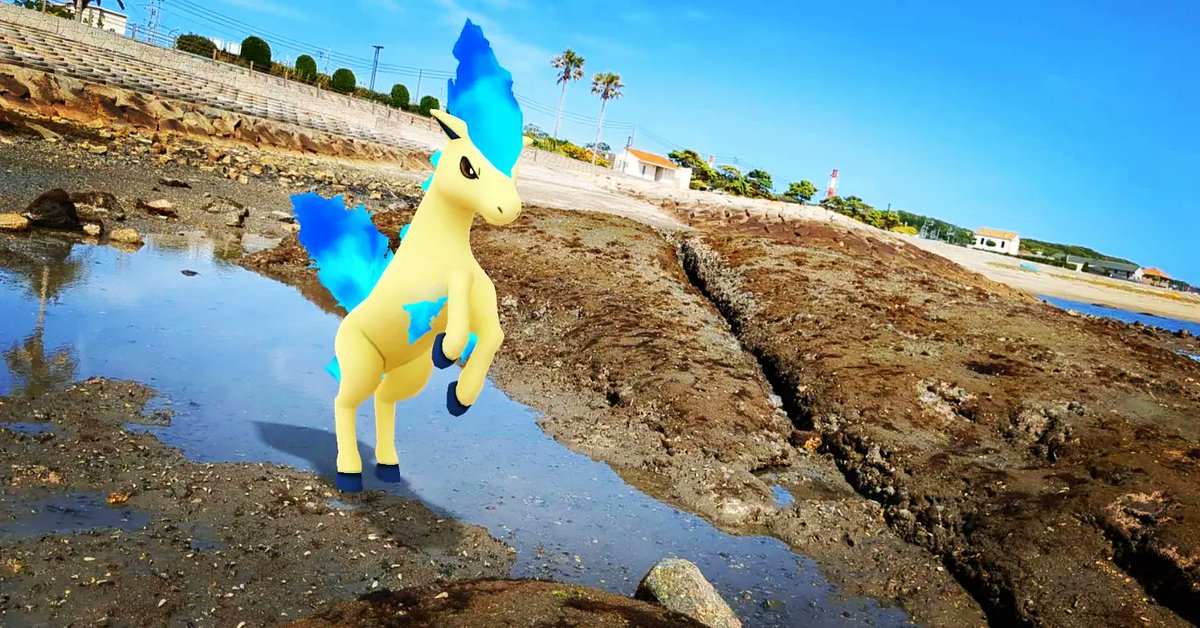 zJ9y8GMry6Xk0UH's tweet photo. 『BLUE④』

ギャロップとポニータ📷💙💙💙

#GOsnapshot #NianticAR 
#ARofTheDay #PokemonGO 
#PokemonGOar 
#ポケモンGo 
#ポケモンGOしてる人と繋がりたい 
#BLUEAR #sea ＃sky https://t.co/ztvUHuSQUj