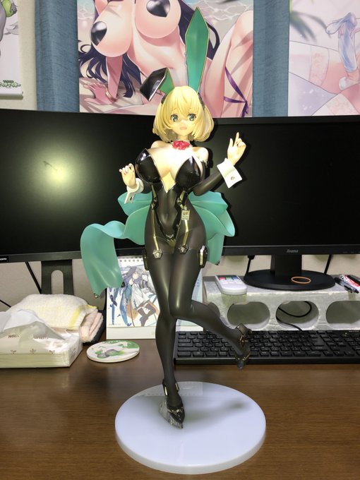 ようやくナダレさん(@nadare3nWMM)のバニーソフィアちゃんお迎えした!!
逆バニーver.も並べてデッッッッッ!! 