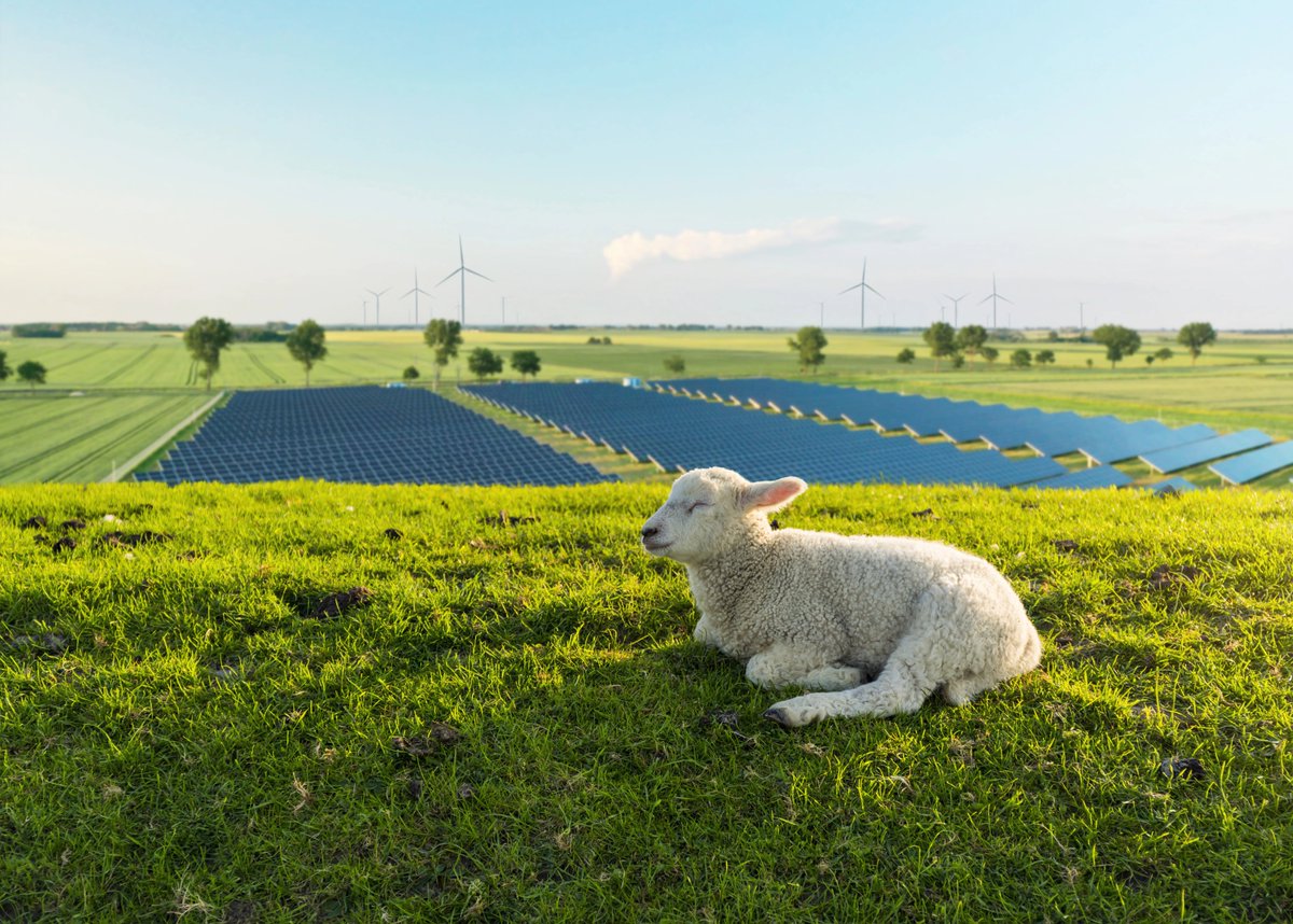 Der en:former verabschiedet sich, <a href="/RWE_AG/">RWE AG</a> hält Sie aber weiterhin bei Energiethemen up-to-date en-former.com/mehr-als-fuenf…