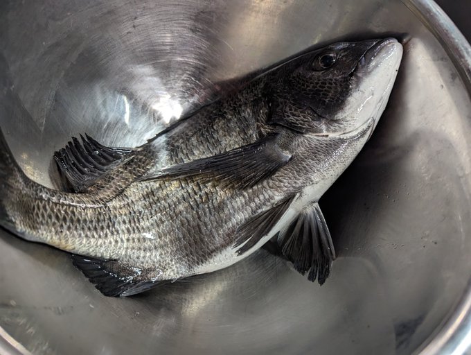 でけ〜〜〜〜〜〜〜〜〜〜