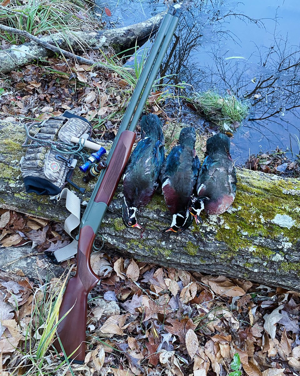 Nothing like a limit of wood ducks!